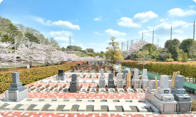 桜咲く明るい園内