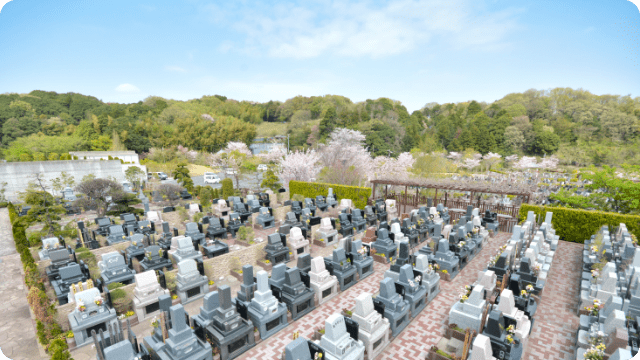 故郷の里山を思い出す 理想的な空間