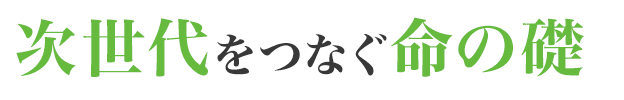 次世代をつなぐ命の礎