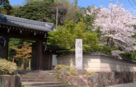 建功寺墓地の画像