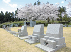 様々な種類の墓石から墓地にあわせて理想のデザインを探す