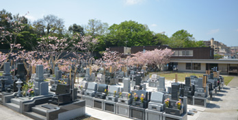 建功寺菊名墓地の画像