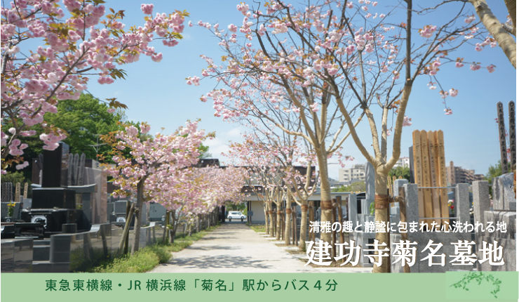 菊名駅から市営バス4分。横浜市鶴見区では稀少な平坦な墓地。参道の桜が美しい静寂な環境で永代に亘るご供養を。