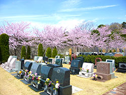 横浜市の霊園風景