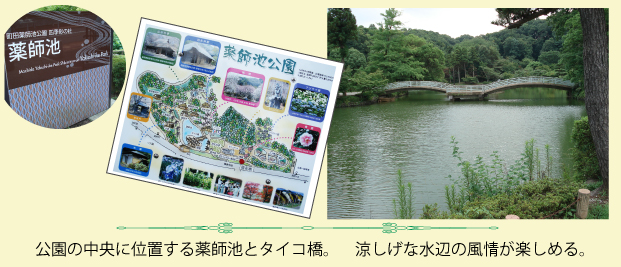 町田薬師池公園