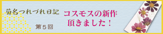 菊名つれづれ日記第５回