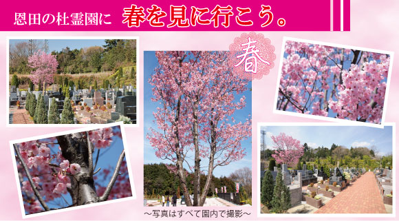 花4