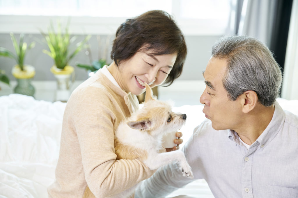 飼い主とペットとが一緒に入れるお墓や霊園について詳しく解説します