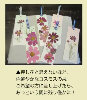 菊名墓地 つれづれ日記 バックナンバー０１ 霊園 お墓の鳳友産業グループ