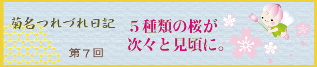 菊名つれづれ日記第７回