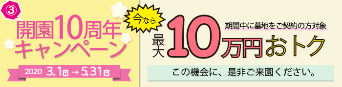 キャンペーン