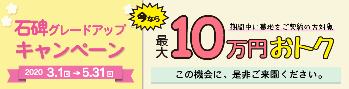 キャンペーン