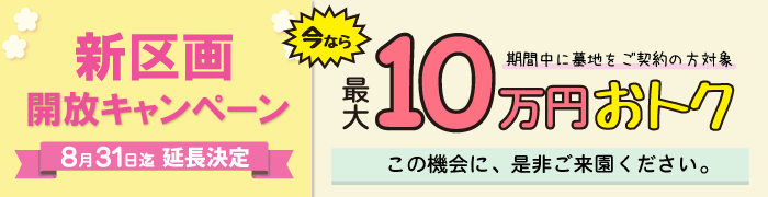 キャンペーン