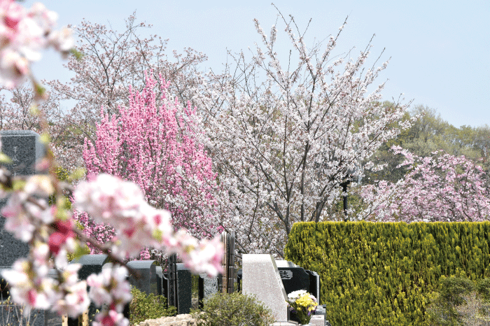 町田小野路霊園06