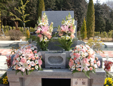 墓地花