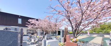 2021年4月3日　桜の菊名墓地