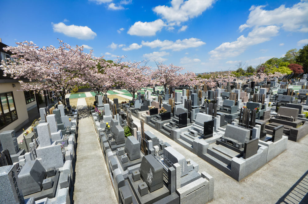 菊名墓地ギャラリー01