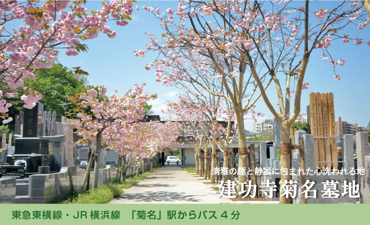 菊名駅から市営バス４分。横浜市鶴見区では稀少な平坦な墓地。参道の桜が美しい静寂な環境で永代に亘るご供養を。