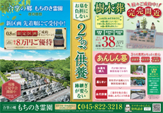 mochinoki_chirashi